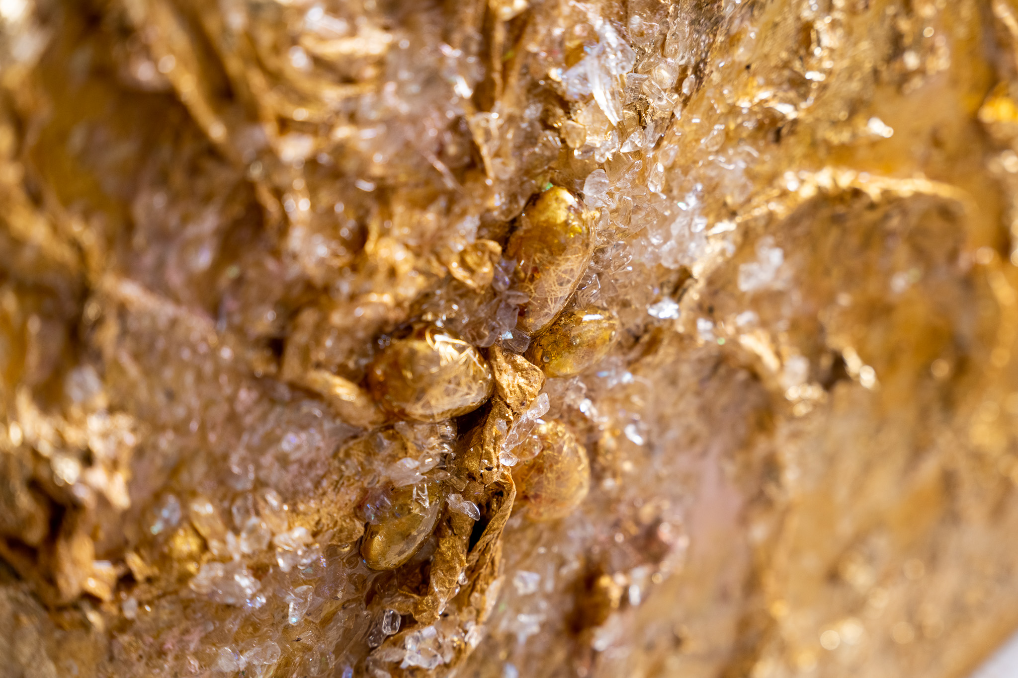 P1028832pzhGS6ufJVpae